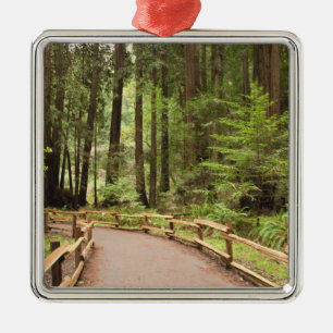 VS, Californië, Marin County, Muir Woods Metalen Ornament