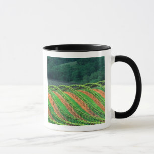 VS, Californië, Mendocino County, een getralied Mok