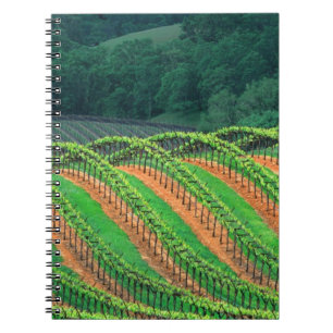 VS, Californië, Mendocino County, een getraliede Notitieboek