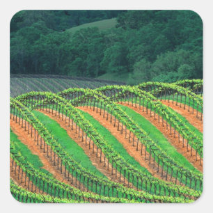 VS, Californië, Mendocino County, een getraliede Vierkante Sticker
