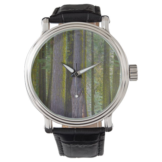 VS, Californië. met mos bedekte boomstammen Horloge (Voorkant)