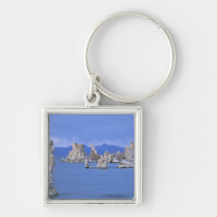 VS, Californië, Mono Lake Sleutelhanger