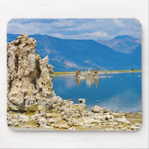 VS, Californië, Mono Lake South Tufa Reserve Muismat