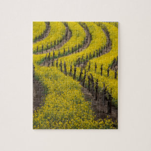 VS, Californië, Napa Valley, Los Carneros Ava. Legpuzzel