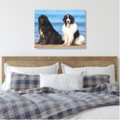 VS, Californië. Newfoundlands Zitten Canvas Afdruk (Insitu (Slaapkamer))