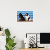 VS, Californië. Newfoundlands Zitten Poster (Thuiskantoor)