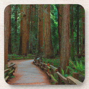 VS, Californië. Pad tussen de rode bomen in Muir Bier Onderzetter