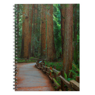 VS, Californië. Pad tussen de rode sequoia's in Mu Notitieboek