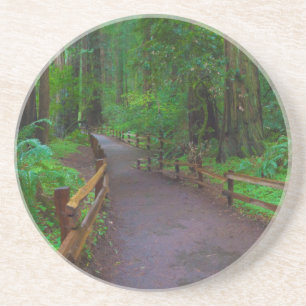 VS, Californië. Pad tussen Redwoods Zandsteen Onderzetter