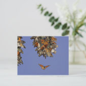 VS, Californië, Pismo Beach. Monarch Briefkaart (Staand voorkant)