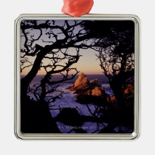 VS, Californië, Point Lobos, cypress-boom en Metalen Ornament