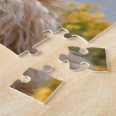 VS, Californië. Portret van Labradoedle 3 Legpuzzel (Zijkant)