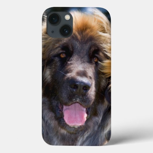 VS, Californië. Portret van zittende Leonberger Case-Mate iPhone Case (Achterkant)