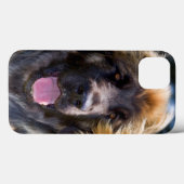 VS, Californië. Portret van zittende Leonberger Case-Mate iPhone Case (Achterkant (horizontaal))