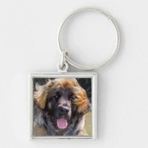VS, Californië. Portret van zittende Leonberger Sleutelhanger