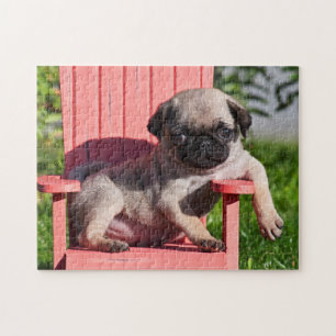 VS, Californië. Pug Puppy Slouching Legpuzzel