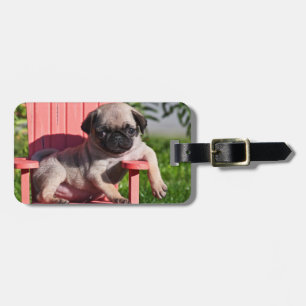 VS, Californië. Pugg puppy hangt onderuit Bagagelabel