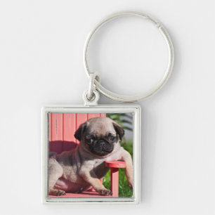 VS, Californië. Pugg puppy hangt onderuit Sleutelhanger