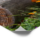 VS, Californië. Queensland Healer Sitting 2 Poster (Hoek)