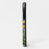 VS, Californië. Queensland Healer zittend 2 Case-Mate iPhone Case (Achterkant/links)
