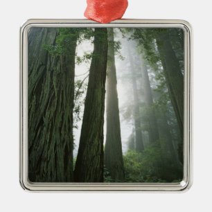 VS, Californië, Redwood National Park, 2 Metalen Ornament