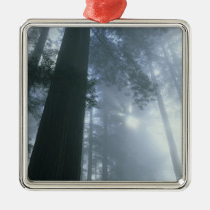 VS, Californië, Redwood National Park, Del Metalen Ornament