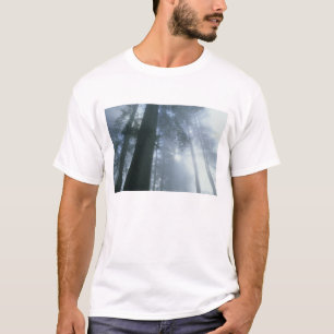 VS, Californië, Redwood National Park, Del T-shirt