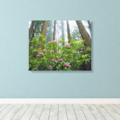 VS, Californië, Redwood NP. Rhododendron Canvas Afdruk (Insitu (Houten vloer))