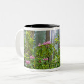 VS, Californië, Redwood NP. Rhododendron Tweekleurige Koffiemok (Voorkant links)