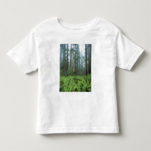 VS, Californië, Redwood NP. Varens en Kinder Shirts