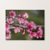 VS, Californië. Roze bloemen op een boom Legpuzzel (Horizontaal)