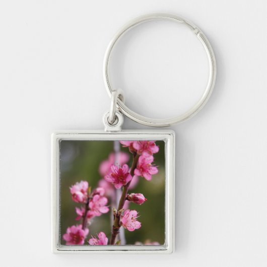 VS, Californië. Roze bloemen op een boom Sleutelhanger (Voorkant)