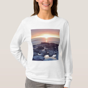VS, Californië, San Diego. Ebben getijde T-shirt