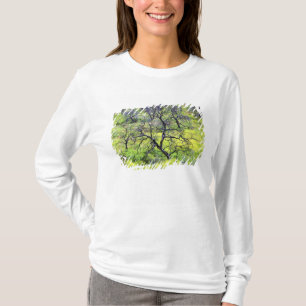 VS, Californië, San Diego. Een verbrande eikenbos T-shirt