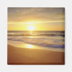 VS, Californië, San Diego. La Jolla Shores Magneet