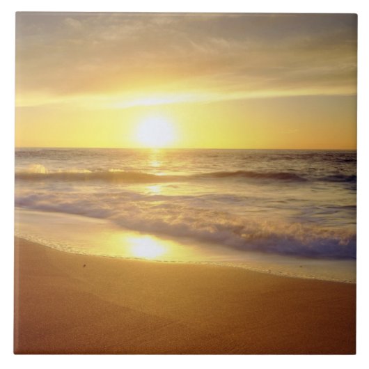 VS, Californië, San Diego. La Jolla Shores Tegeltje (Voorkant)