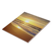 VS, Californië, San Diego. La Jolla Shores Tegeltje (Zijkant)