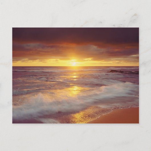 VS, Californië, San Diego. Zonnestrand Briefkaart (Voorkant)