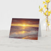 VS, Californië, San Diego. Zonnestrand Kaart (Gele Bloem)