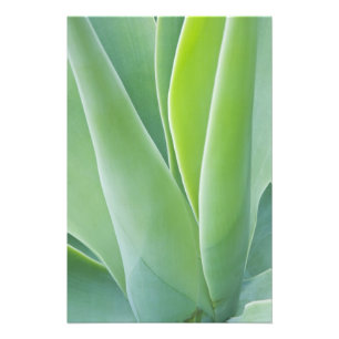 VS, Californië, San Fracisco, Golden Gate Foto Afdruk