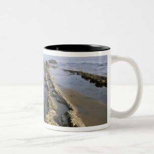 VS, Californië, Santa Barbara, Henry's Beach. Tweekleurige Koffiemok