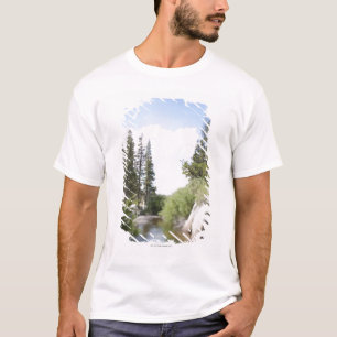 VS, Californië, Sonora Pass, Landschap met T-shirt