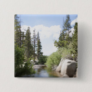 VS, Californië, Sonora Pass, Landschap met Vierkante Button 5,1 Cm