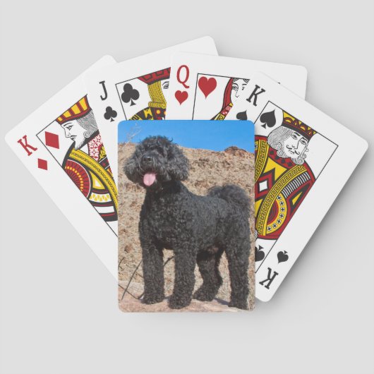 VS, Californië. Staande Labradoodle Speelkaarten (Achterkant)
