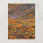 VS, Californië, Tehachapi-bergen, 2 Briefkaart (Voorkant)