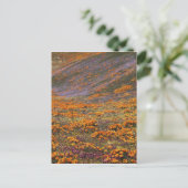 VS, Californië, Tehachapi-bergen, 2 Briefkaart (Staand voorkant)