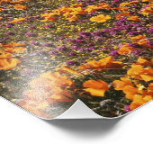 VS, Californië, Tehachapi-bergen, 2 Foto Afdruk (Hoek)