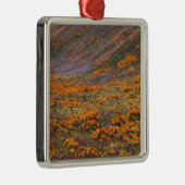 VS, Californië, Tehachapi-bergen, 2 Metalen Ornament (Rechts)