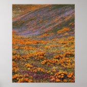 VS, Californië, Tehachapi-bergen, 2 Poster (Voorkant)