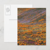 VS, Californië, Tehachapi Mountains, 2 Briefkaart (Voorkant / Achterkant)
